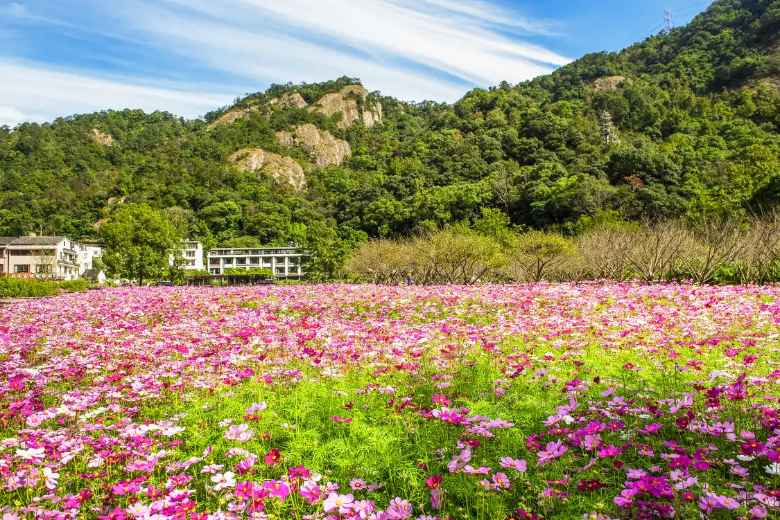 Hotels near Yandang Mountain