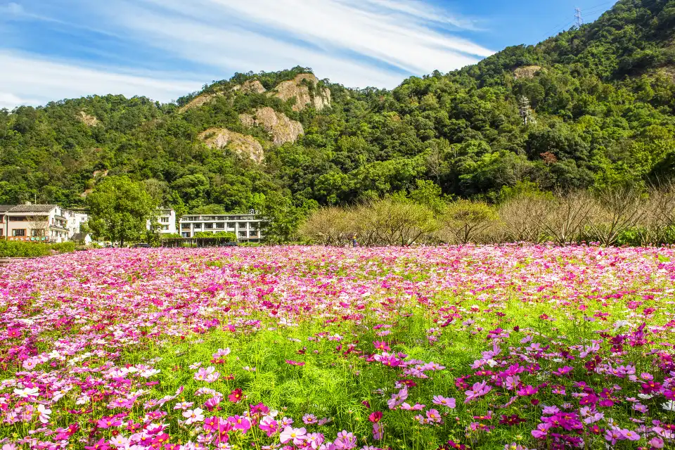 2_Yandang Mountain