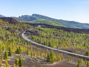 Parco nazionale del Teide