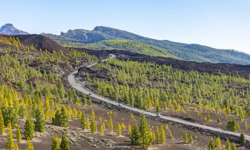 Parc national du Teide