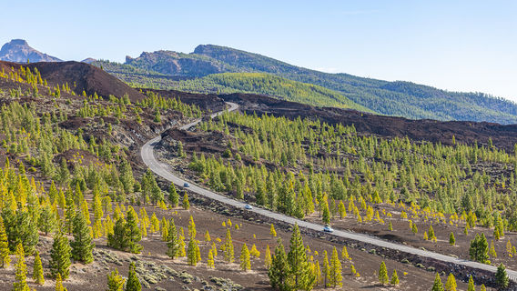 Parque Nacional del Teide