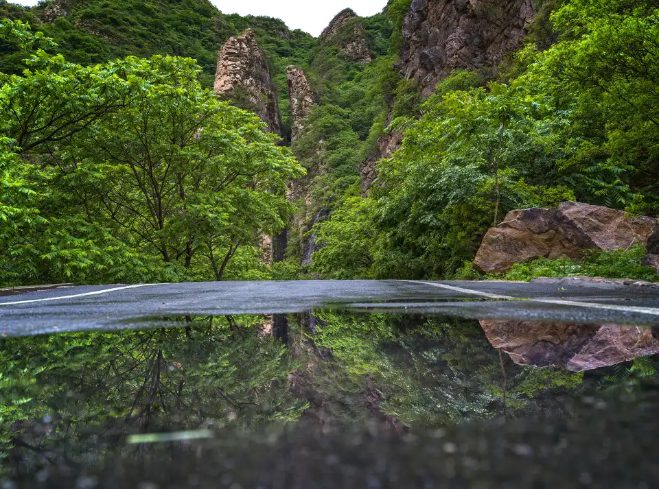2_Limutai Scenic Area