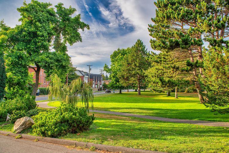 Beacon Hill Park