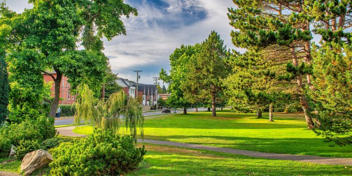 Beacon Hill Park