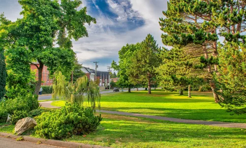 Beacon Hill Park