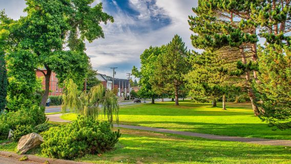 Beacon Hill Park