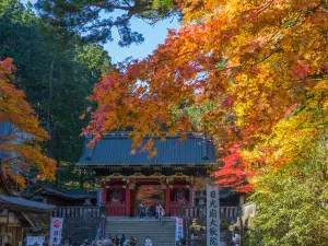 Attrazioni per la visione autunnale a Nikkō: le opzioni più popolari