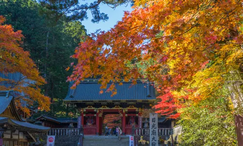Nikko Toshogu Shrine