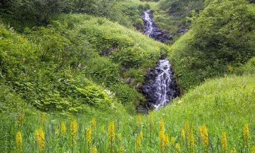 Changbai Mountain South Slope Scenic Area