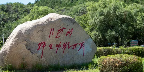 八達嶺野生動物世界