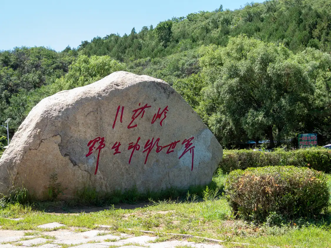Hotels near Badaling Safari Park