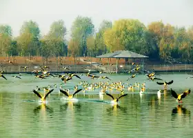 รีสอร์ทท่องเที่ยวภูเขาตาหิน