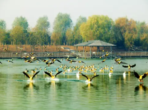 泰山宝泰隆ツーリストリゾート