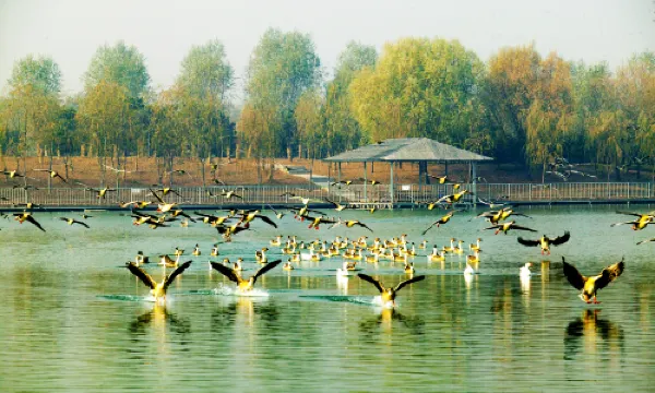 泰山宝泰隆ツーリストリゾート