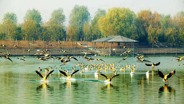 Taishan Baotailong Tourist Resort