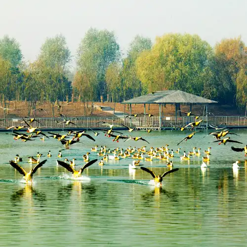 Popular Family-friendly Attractions in Tai'an