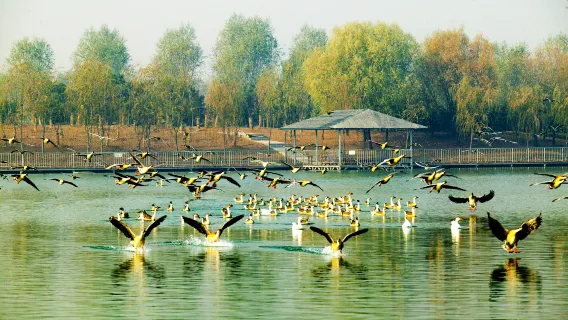 親子景點