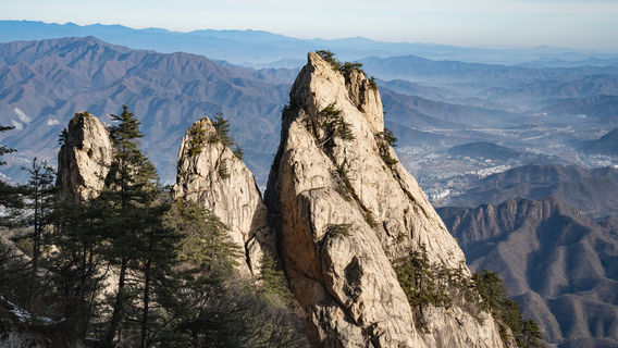 Miles Painted Screen