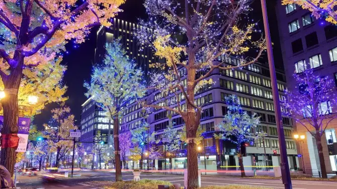 The Midosuji Osaka Illumination