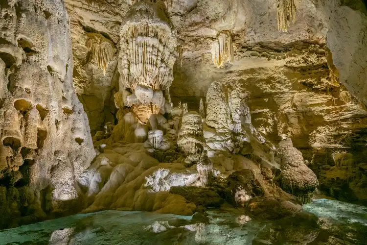 Hotels in Comal County