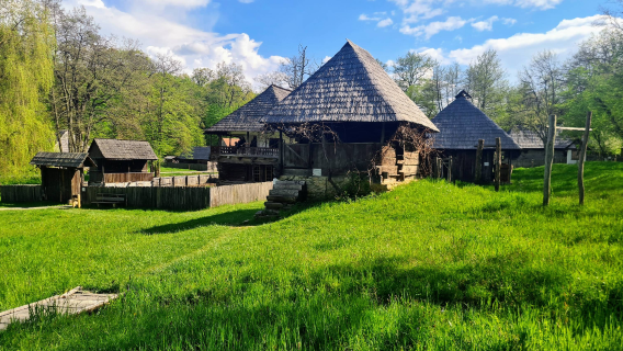 Dumbrava Sibiului Natural Park