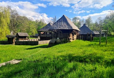 Dumbrava Sibiului Natural Park