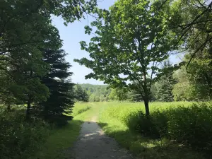 อุทยานแห่งชาติเมืองรูจ