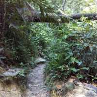 Penang National Park