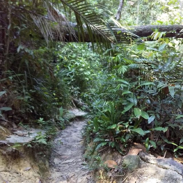 Penang National Park