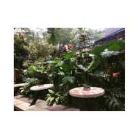 Papolo, One of the best coffee house