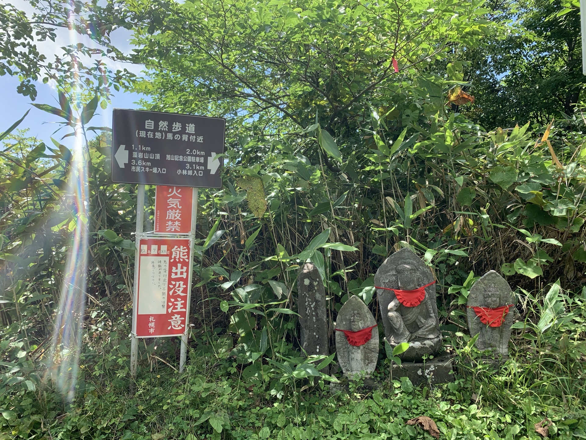 札幌 もいわ山 評判 案内 トリップドットコム 札幌 もいわ山 評判 案内 トリップドットコム