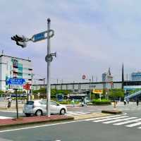 恋の幕張り春うらら