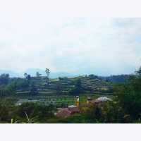Eurad Pingping Peak

