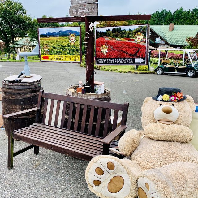 【大分】くじゅう花公園