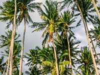 Beach adventure in Pagudpud