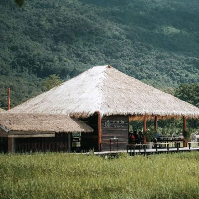 Na Khor Koi