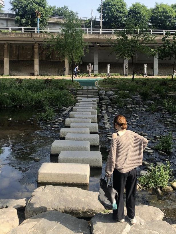 상수 카페, 콜린