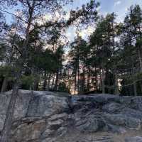 Enjoy the nature near Helsinki