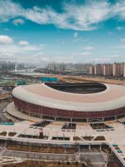 Shanxi Sports Centre - Gymnasium