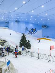 Горнолыжный комплекс Ski Dubai