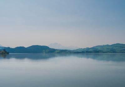 Qingshan Reservoir