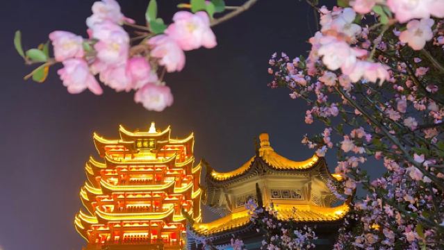 黃鶴樓+辛亥革命博物院+湖北省博物館+東湖生態旅遊風景區接駁行程可調】