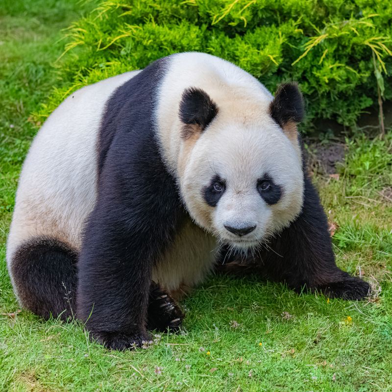 Adelaide Zoo