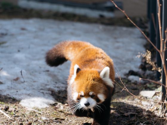 淹城野生動物世界