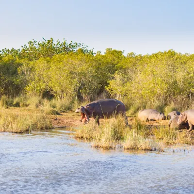 5-Star Hotels in Oudtshoorn