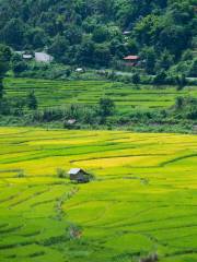 Pingshan Terraced Tourist Area