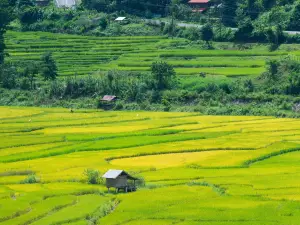 Pingshan Terraced Tourist Area