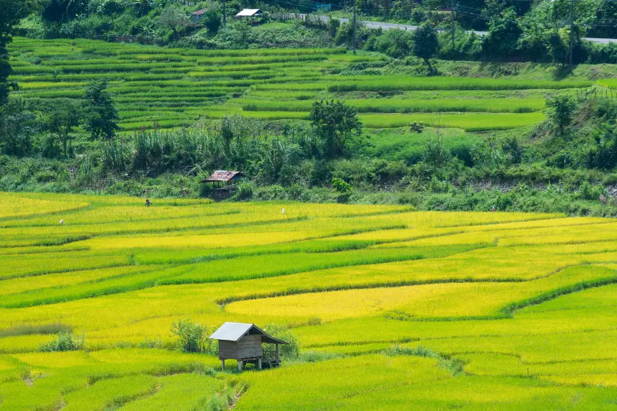 Pingshan Terraced Tourist Area