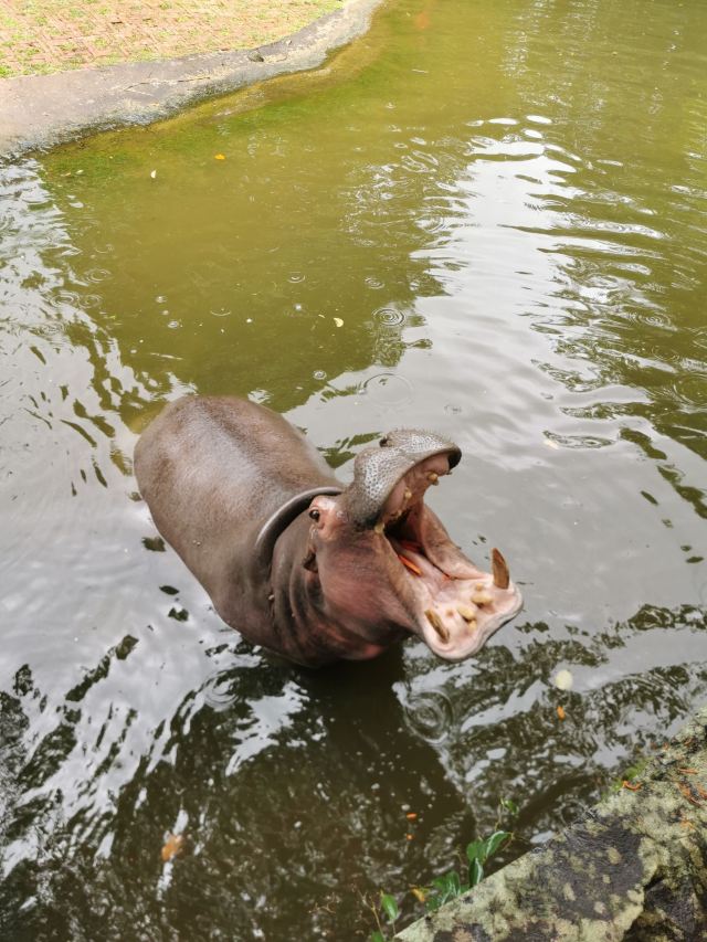 Hainan Tropical Wildlife Park