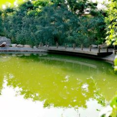 雅聚山庄 User Photo